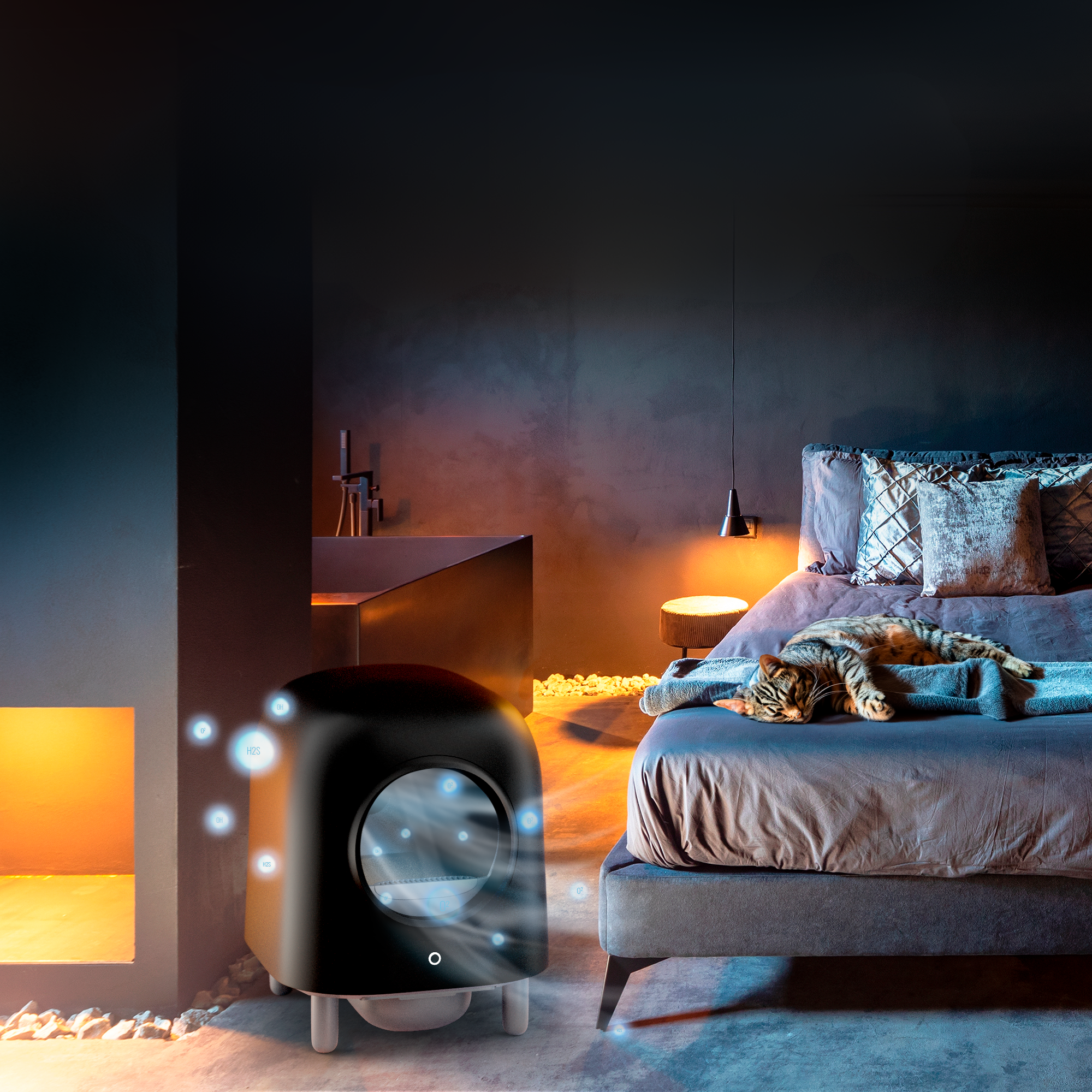 Petree Cube v2 - Zelfreinigende kattenbak - Black Edition