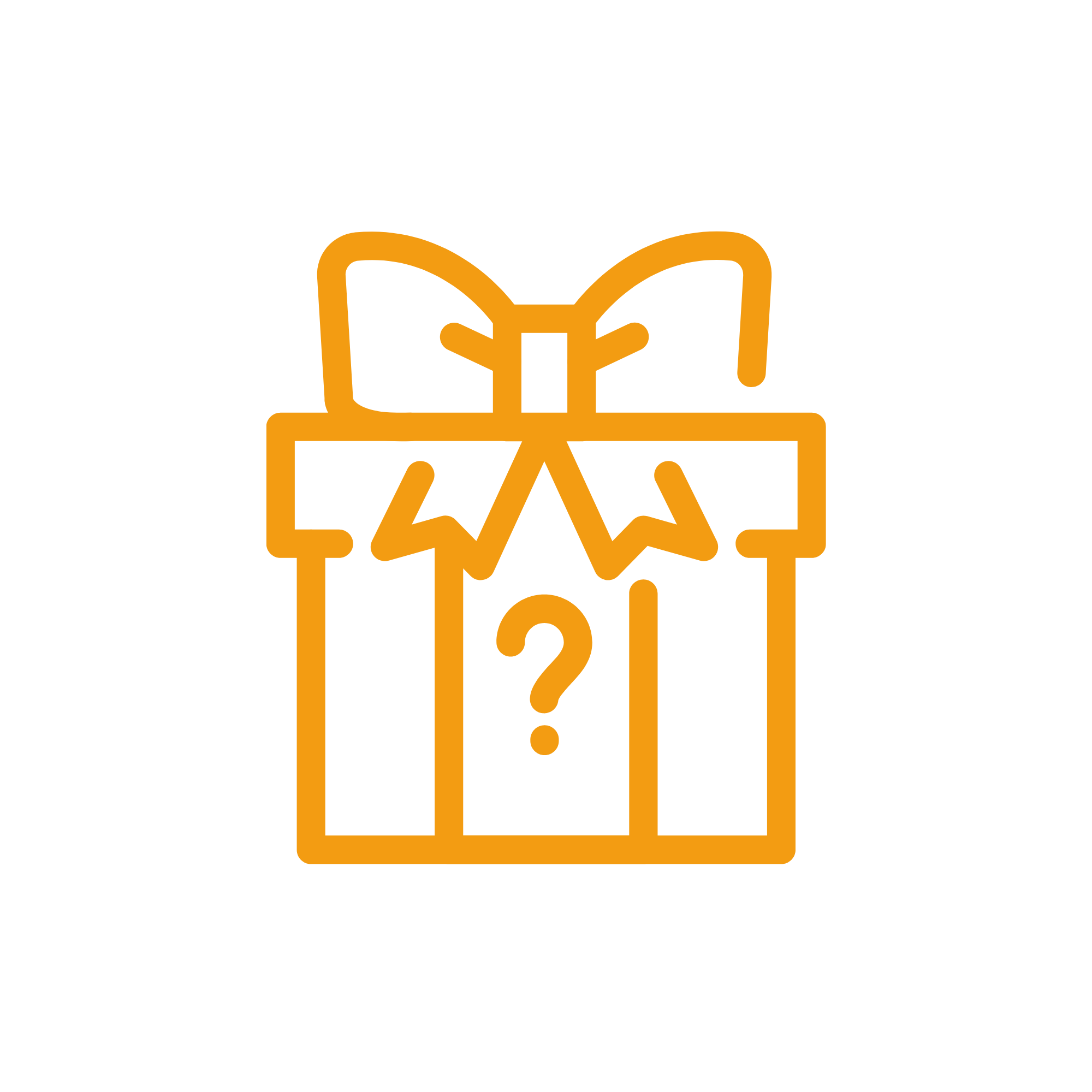 Mystery Gift