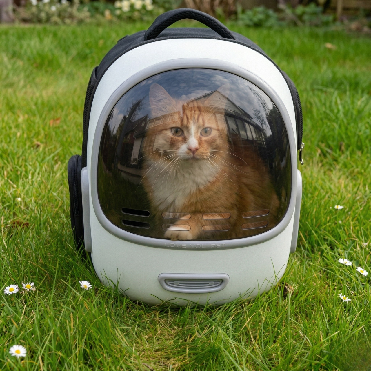 Petree Go - Slimme Reistas - Wit