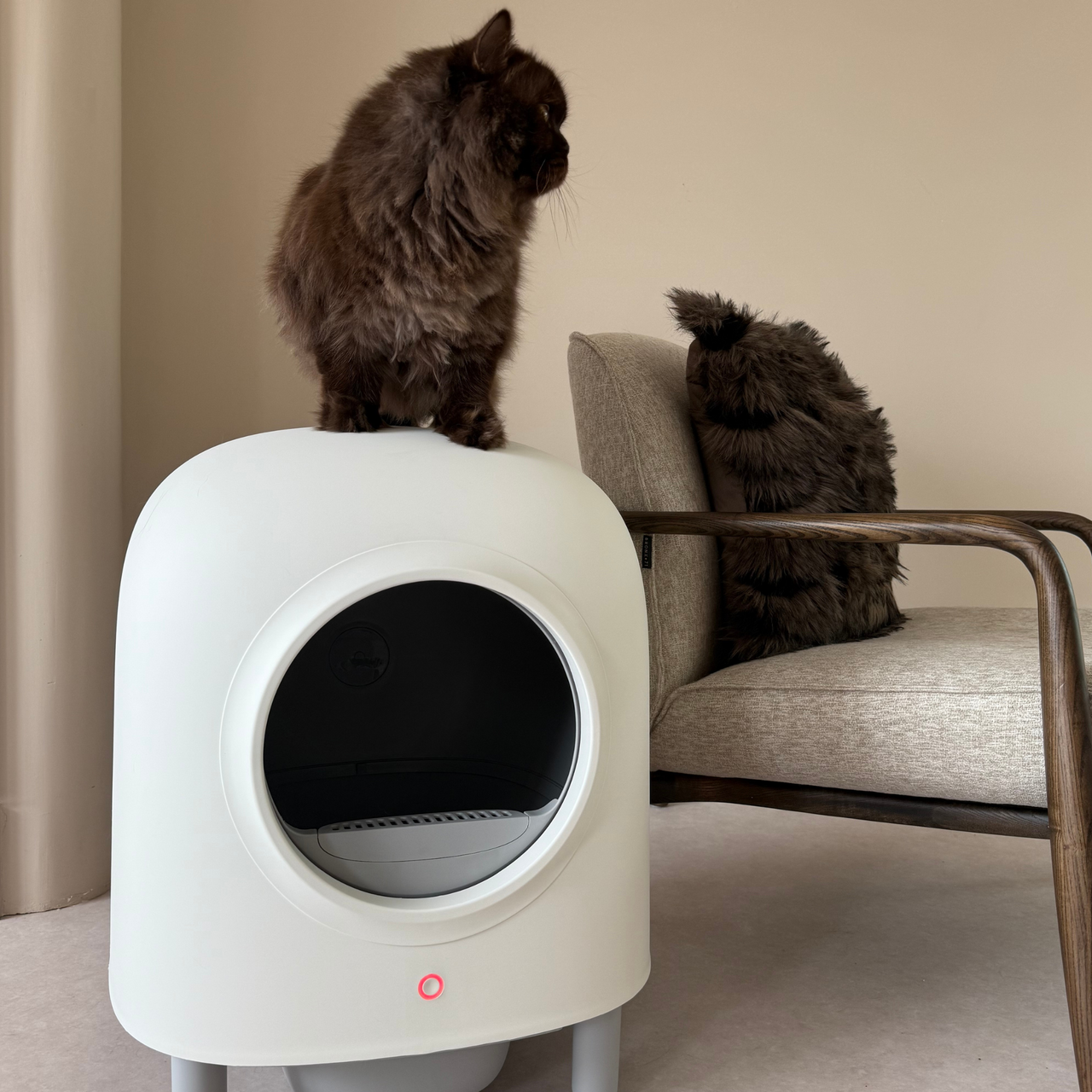Petree Cube - Self-Cleaning Litter Box