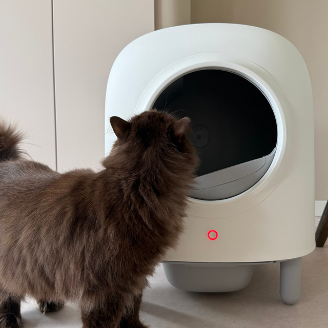 Petree Cube - Self-Cleaning Litter Box