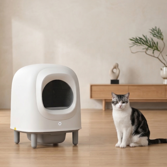 Petree Cube v2 – Selbstreinigende Katzentoilette