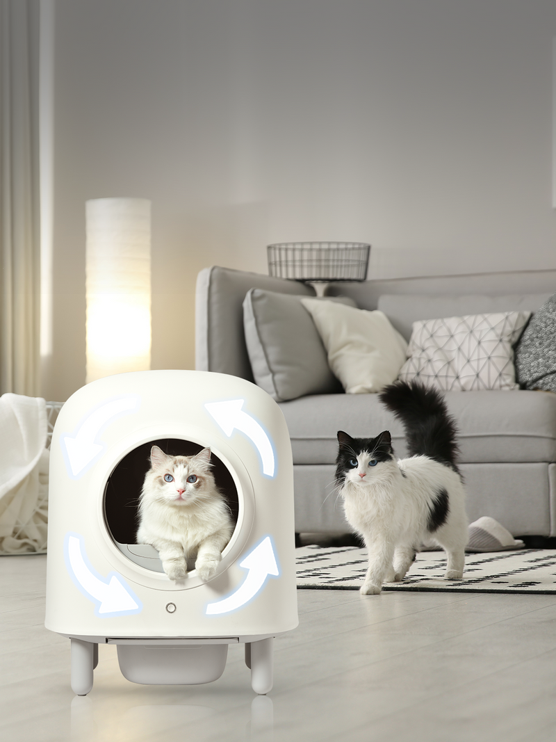 Omega Paw Grijze Kattenbakken Zelfreinigend kopen? ✔️ Tot 72% korting Omega Paw Grijze Kattenbakken Zelfreinigend kopen? ✔️ Tot 72% korting