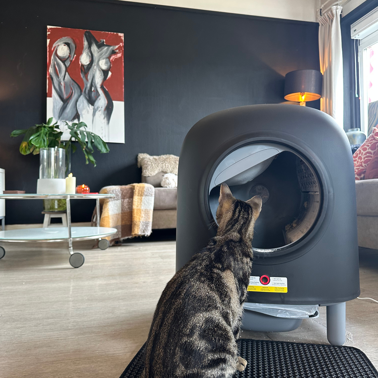 Petree Cube - Zelfreinigende kattenbak - Black Edition