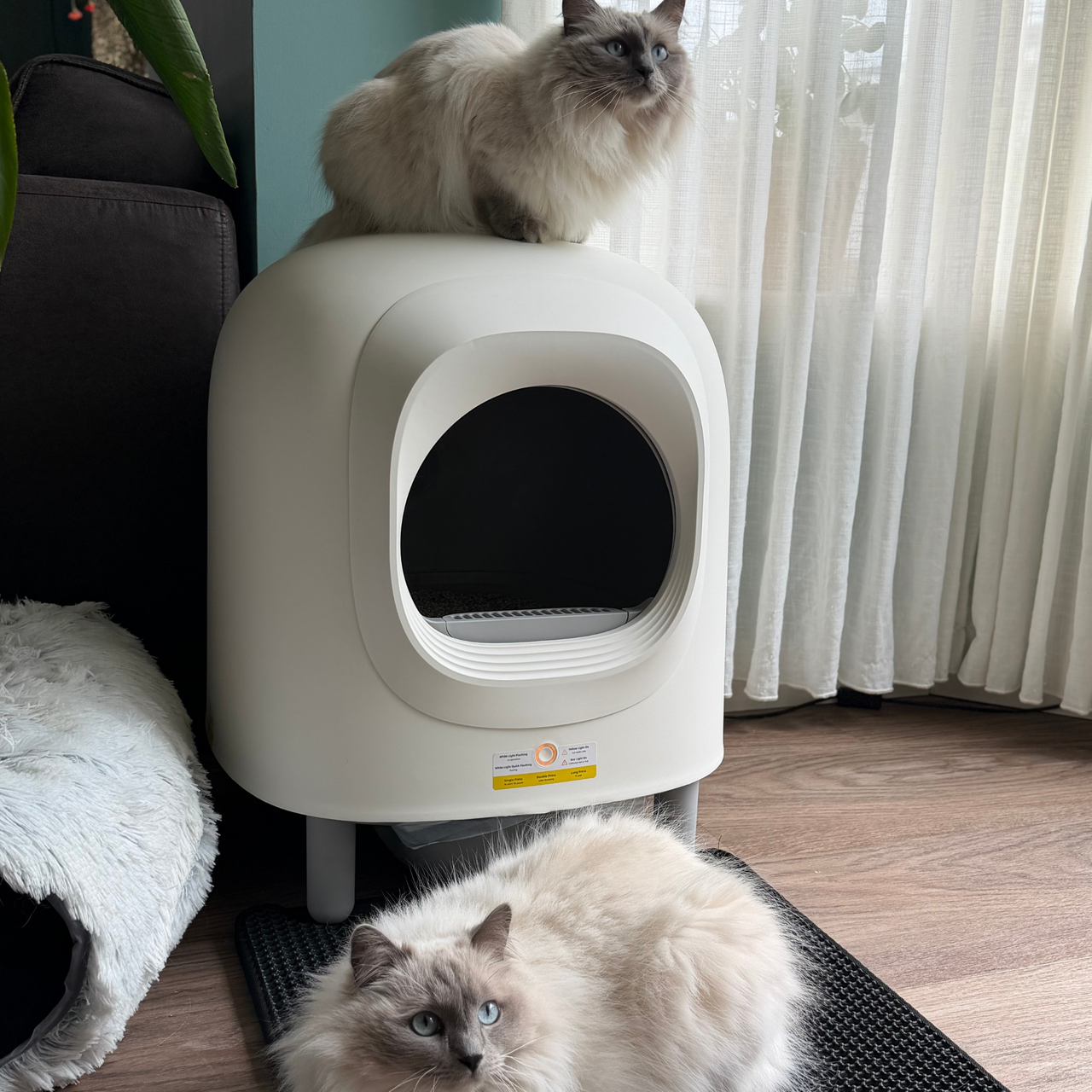 Petree Cube v2 – Litière autonettoyante