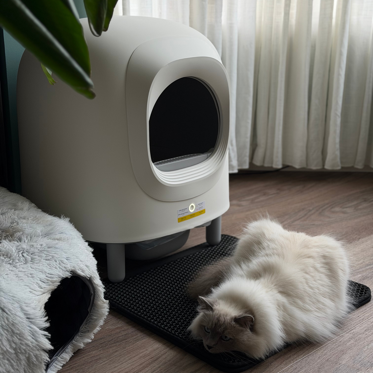 Petree Cube v2 – Litière autonettoyante