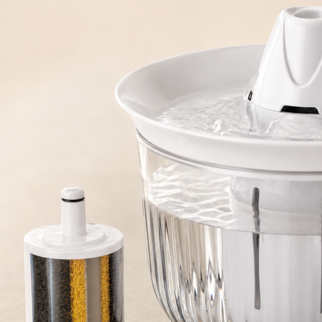 Petree Splash – Filter