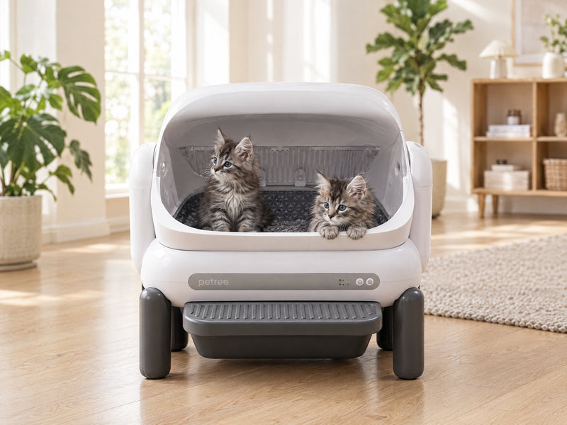 Kittenmodus in de Petree-app